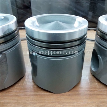 K19 piston kit  3631246