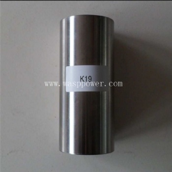 K19 piston pin 4095009