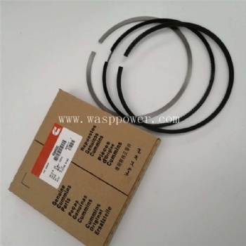 K19 piston ring 4089500