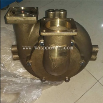 K38 K50 sea water pump 3393018