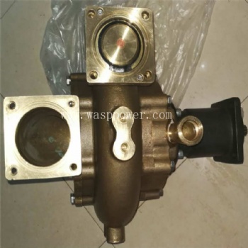 K38 K50 sea water pump 3393018