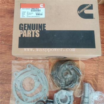 K19 water pump repair kit 3803153