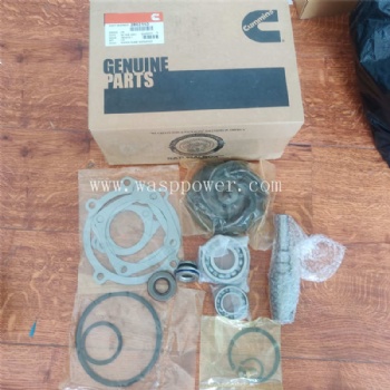 K19 water pump repair kit 3803153