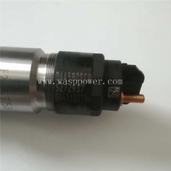 ISLE8.9 injector 5272937