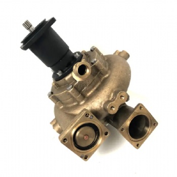 K38 K50 sea water pump 3393018