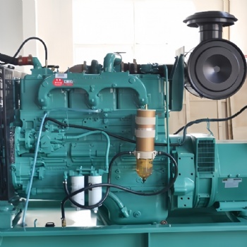 Cummins 6CTA8.3-G2  Generator Diesel Engine Assembly